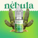 Pointe de Cactus - Nébula